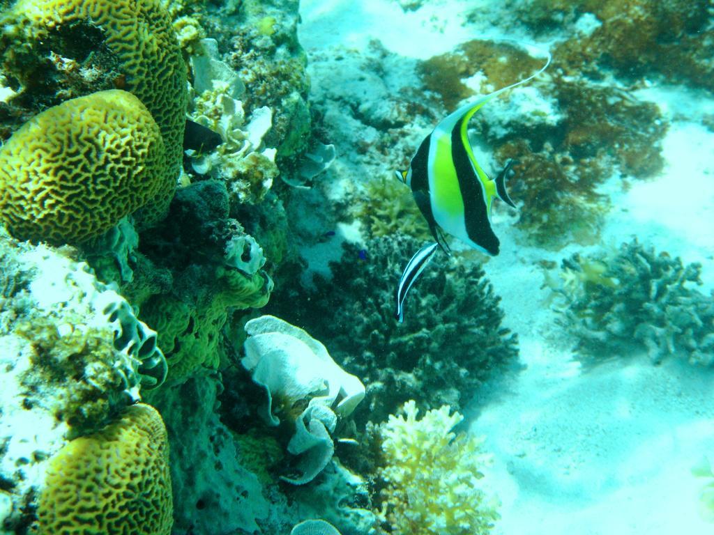 Salt Lake Lodge Savusavu Camera foto
