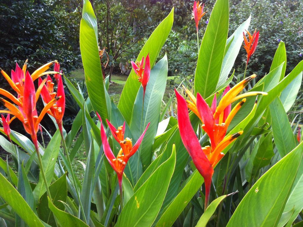 Salt Lake Lodge Savusavu Esterno foto