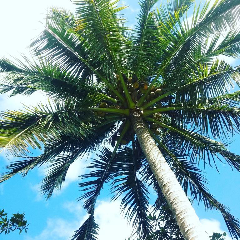 Salt Lake Lodge Savusavu Esterno foto